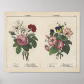 Sommerliche Blume | Charlotte Mary Yonge Poster (Vorne)