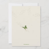 Sommerliche Blume Einladung (Rückseite)