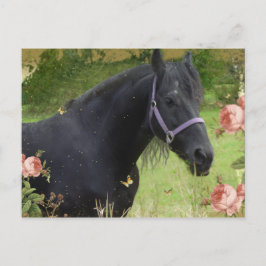 Sommerliche Blume Feiertagspostkarte