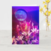 Sommerliche Blume Karte (Gelbe Blume)