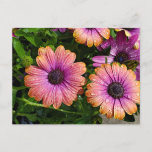 Sommerliche Blume nach Karte