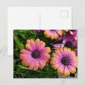 Sommerliche Blume nach Karte (Vorne/Hinten)