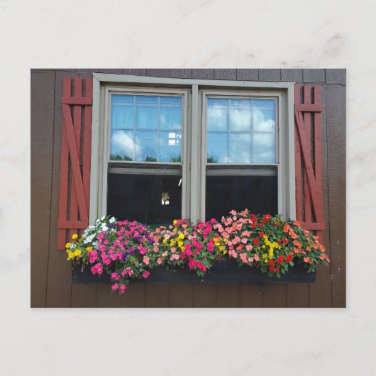 Sommerliche Blume Postkarte (Vorderseite)