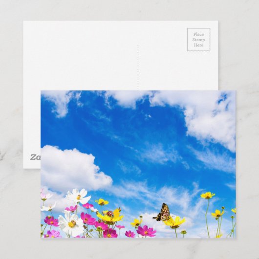 Sommerliche Blume Postkarte (Vorne/Hinten)