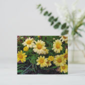 Sommerliche Blume Postkarte (Stehend Vorderseite)