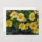 Sommerliche Blume Postkarte (Vorne/Hinten)