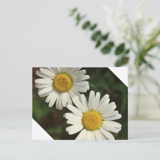 Sommerliche Blume Postkarte (Stehend Vorderseite)