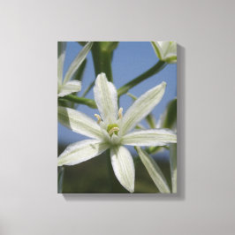 Sommerliche Blume verschnürte Canvas Leinwanddruck
