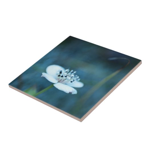 Sommerliche Erinnerungen Fliese (Seite)