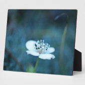 Sommerliche Erinnerungen Fotoplatte (Seite)