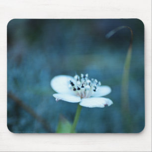 Sommerliche Erinnerungen Mousepad