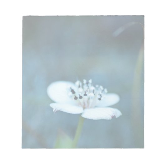 Sommerliche Erinnerungen Notizblock (Vorderseite)