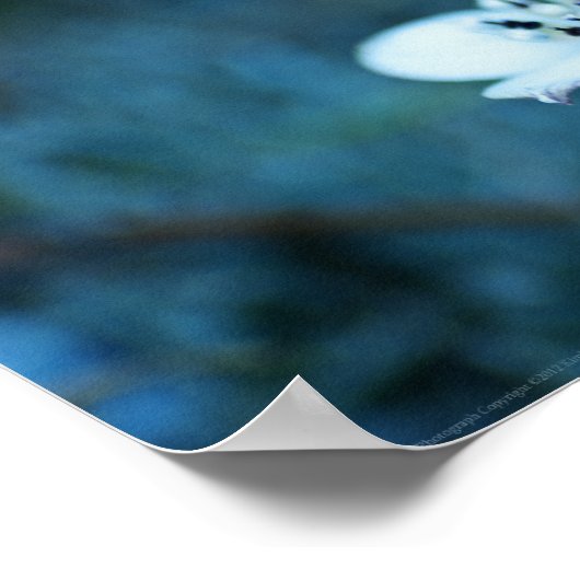 Sommerliche Erinnerungen Poster (Ecke)