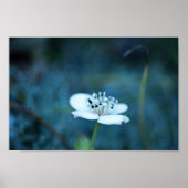 Sommerliche Erinnerungen Poster (Vorne)