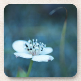 Sommerliche Erinnerungen Untersetzer