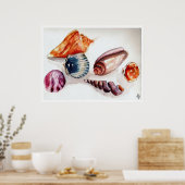 Sommerliche Muscheln Poster (Küche)
