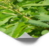 Sommerliche Pflanze im Park Poster (Ecke)