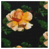 Sommerliche Rose Stoff (Nahaufnahme)