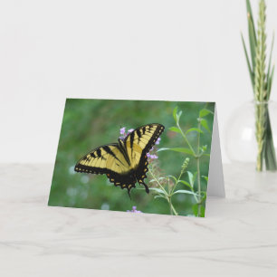 Sommerliche Schönheit Karte