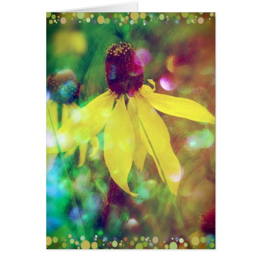 Sommerliche Wildblume (Vorne)
