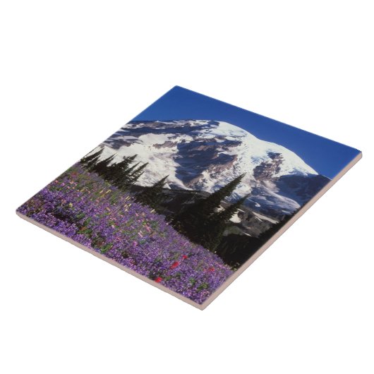 Sommerliche Wildblumen am Fuße des Rainiers, 2 Fliese (Seite)