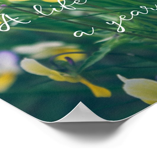 Sommerliche Wildblumen Poster (Ecke)