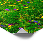 Sommerliche Wildblumen und Teich Poster (Ecke)