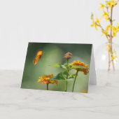 Sommerlicht Karte (Gelbe Blume)