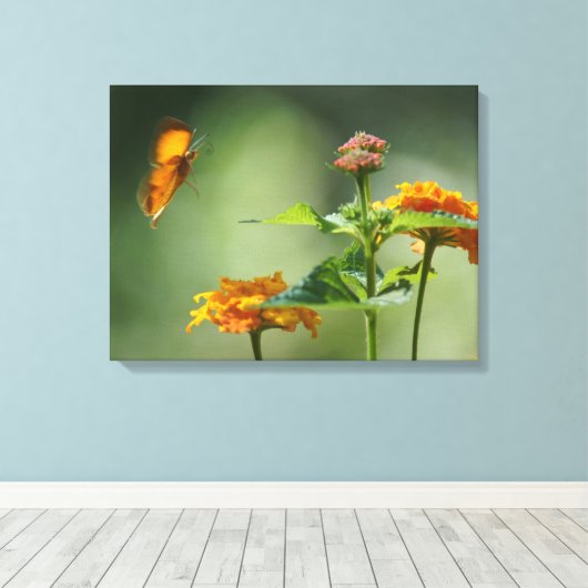 Sommerlicht Leinwanddruck (Insitu (Holzboden))