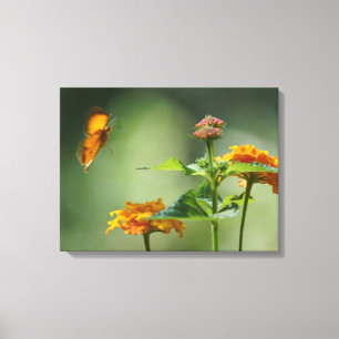 Sommerlicht Leinwanddruck