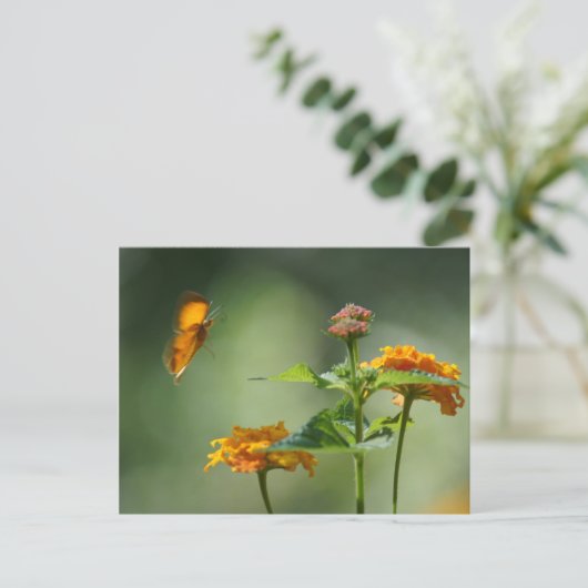 Sommerlicht Postkarte (Stehend Vorderseite)