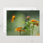 Sommerlicht Postkarte (Vorne/Hinten)