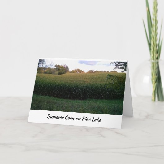 Sommermaisfeld auf South Drive, Pine Lake Karte (Vorderseite)