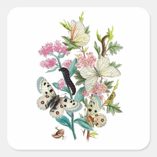 Sommermärsche Quadratischer Aufkleber (Vorderseite)