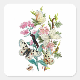 Sommermärsche Quadratischer Aufkleber