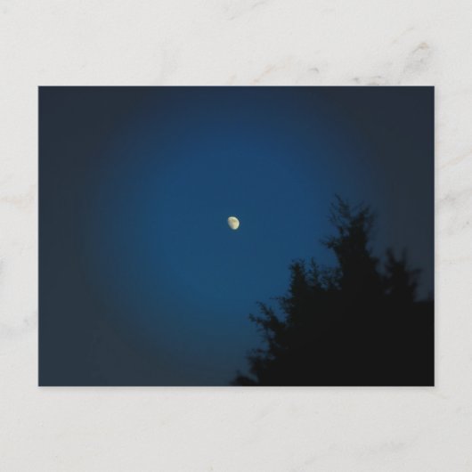 Sommermond - Postkarte (Vorderseite)