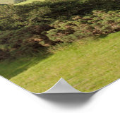 Sommermorgens im Conwy Valley Postcard Poster (Ecke)