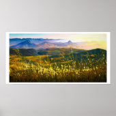 Sommernachmittag über Shooters Poster (Vorne)