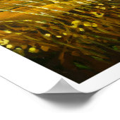 Sommernachmittag über Shooters Poster (Ecke)