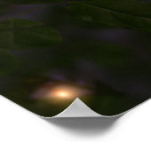 Sommernachts Print Poster (Ecke)