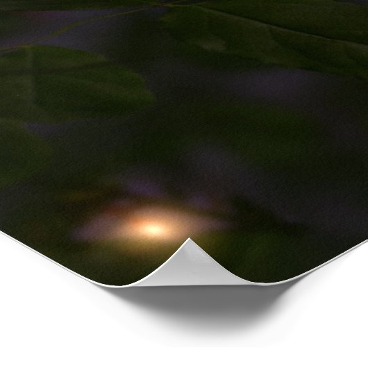 Sommernachts Print Poster (Ecke)