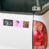 Sommernachtstraum Autoaufkleber (Auf Lkw)