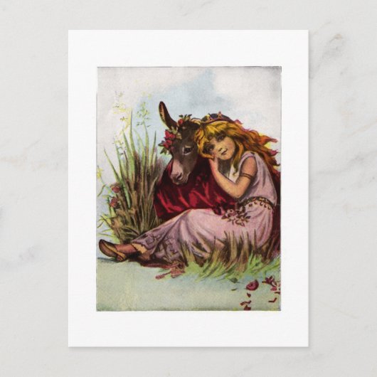 Sommernachtstraum Postkarte (Vorderseite)