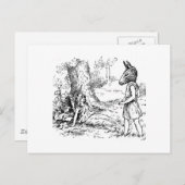 Sommernachtstraum Postkarte (Vorne/Hinten)