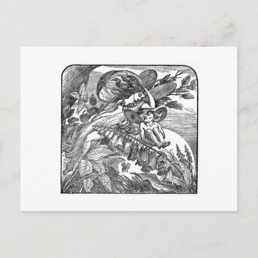 Sommernachtstraum Postkarte (Vorderseite)