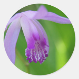 Sommerorchid! Runder Aufkleber
