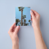 Sommerpalmen Flyer (Gruppe)