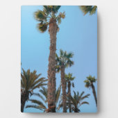 Sommerpalmen Fotoplatte (Vorderseite)