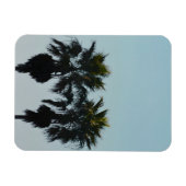 Sommerpalmen Magnet (Horizontal)