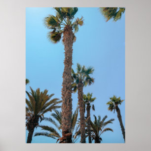 Sommerpalmen Poster
